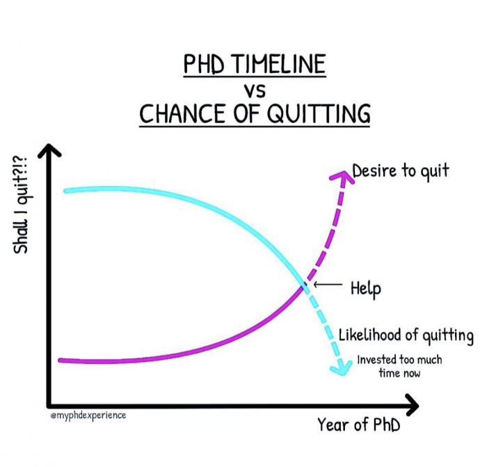 phd chance of quitting